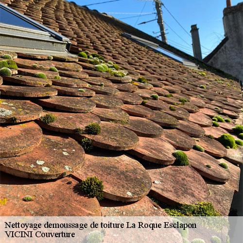 6961674-nettoyage-demoussage-de-toiture-vicini-couverture-1