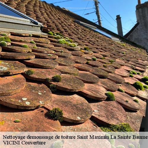 6961681-nettoyage-demoussage-de-toiture-vicini-couverture-1