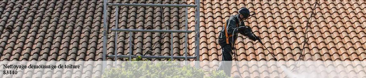 6961689-nettoyage-demoussage-de-toiture-vicini-couverture-2