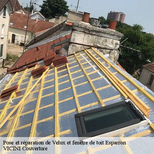 7205325-pose-et-reparation-de-velux-et-fenetre-de-toit-vicini-couverture-1