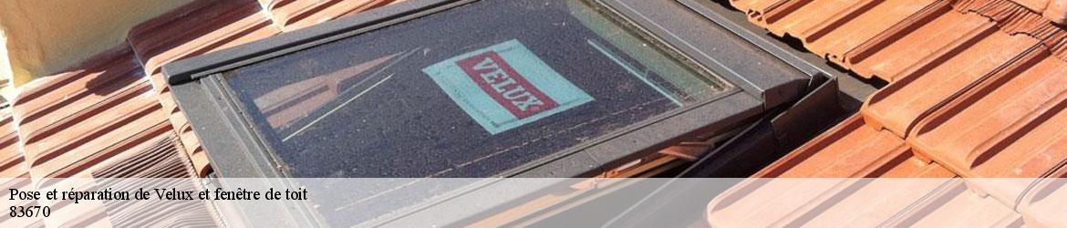 7205368-pose-et-reparation-de-velux-et-fenetre-de-toit-vicini-couverture-2