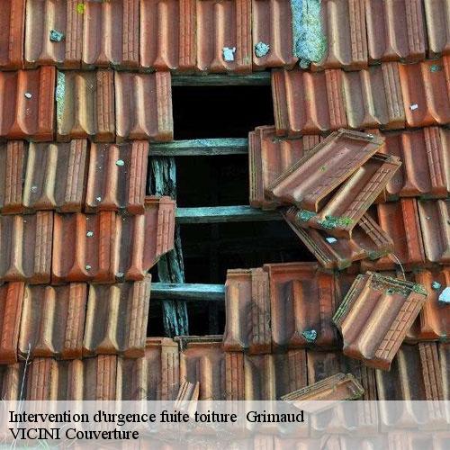 7205527-intervention-d-urgence-fuite-toiture-vicini-couverture-1