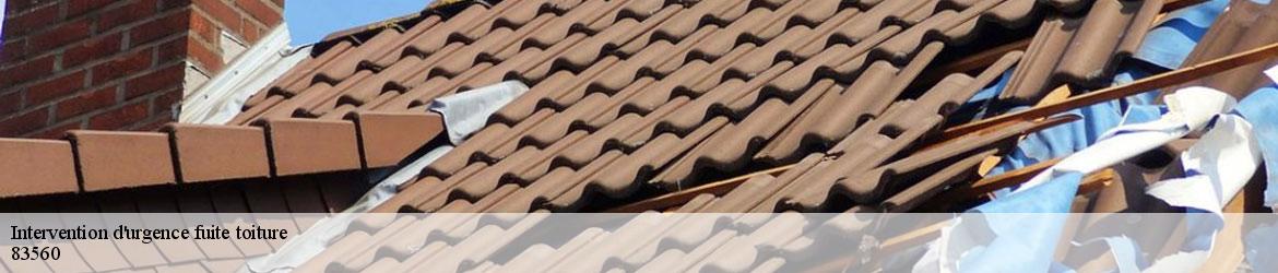 7205572-intervention-d-urgence-fuite-toiture-vicini-couverture-2