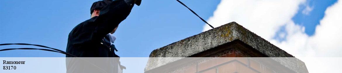 7205675-ramoneur-vicini-couverture-2