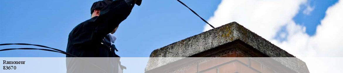 7205740-ramoneur-vicini-couverture-2