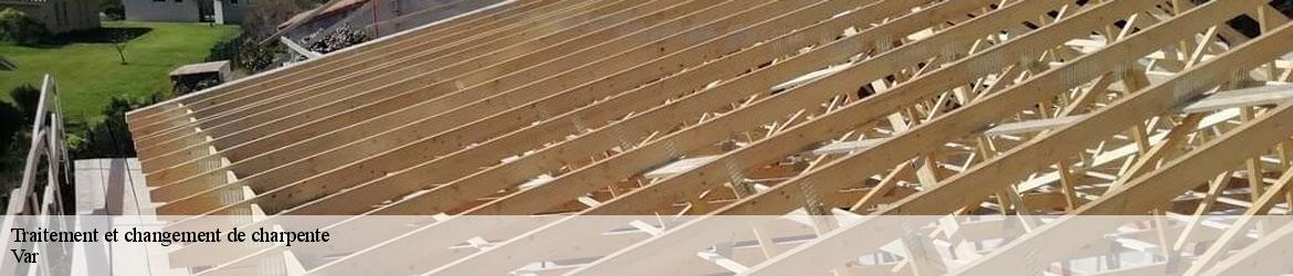 774309-traitement-et-changement-de-charpente-vicini-couverture-2