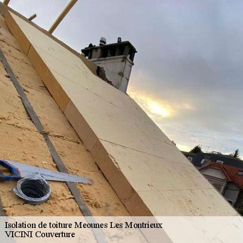 775735-isolation-de-toiture-vicini-couverture-1