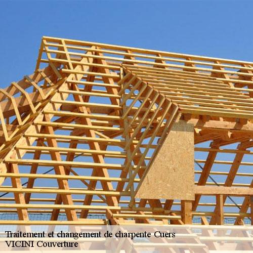 775893-traitement-et-changement-de-charpente-vicini-couverture-1