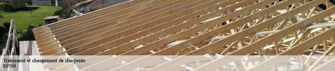 776000-traitement-et-changement-de-charpente-vicini-couverture-2